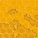 Api e apicoltura. Preziosa risorsa per ambiente e agricoltura [Pubblicazione]