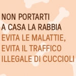 Giornata mondiale della rabbia 2020: fermiamo la rabbia con l’approccio One Health