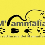 L’IZSVe a “M’ammalia 2020”, la Settimana dei Mammiferi