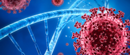 Permalink to: Aggiornamento sulle caratteristiche genetiche di SARS-CoV-2 identificati in Veneto Aggiornamento sulle caratteristiche genetiche di SARS-CoV-2 identificati in Veneto