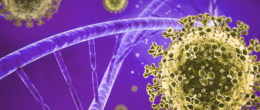 Permalink to: Aggiornamento sulle caratteristiche genetiche di SARS-CoV-2 identificati in Veneto Aggiornamento sulle caratteristiche genetiche di SARS-CoV-2 identificati in Veneto (2)