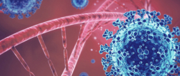 Permalink to: Aggiornamento sulle caratteristiche genetiche di SARS-CoV-2 identificati in Veneto (3° aggiornamento) Aggiornamento sulle caratteristiche genetiche di SARS-CoV-2 identificati in Veneto (3° aggiornamento)