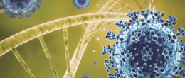 Permalink to: Aggiornamento sulle caratteristiche genetiche di SARS-CoV-2 identificati in Veneto (4° aggiornamento) Aggiornamento sulle caratteristiche genetiche di SARS-CoV-2 identificati in Veneto (4° aggiornamento)