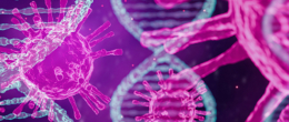 Permalink to: Sorveglianza genetica di SARS-CoV-2 in Veneto. Riepilogo dell’attività svolta dall’IZSVe su mandato della Regione Veneto Sorveglianza genetica di SARS-CoV-2 in Veneto. Riepilogo dell’attività svolta dall’IZSVe su mandato della Regione Veneto