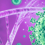 Aggiornamento sulle caratteristiche genetiche di SARS-CoV-2 identificati in Veneto (5° aggiornamento)