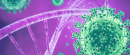 Permalink to: Aggiornamento sulle caratteristiche genetiche di SARS-CoV-2 identificati in Veneto (5° aggiornamento) Aggiornamento sulle caratteristiche genetiche di SARS-CoV-2 identificati in Veneto (5° aggiornamento)