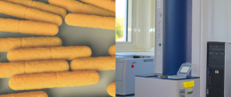 Permalink to: Un nuovo metodo per la rilevazione delle tossine botuliniche senza l’impiego di animali da laboratorio Un nuovo metodo per la rilevazione delle tossine botuliniche senza l’impiego di animali da laboratorio