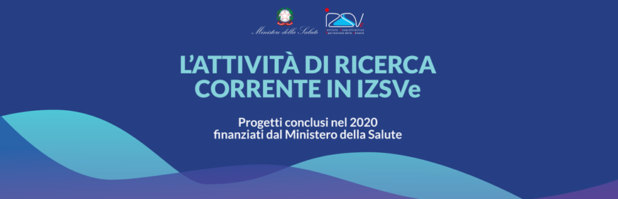 Corso ECM online / L'attività di ricerca corrente in IZSVe. Progetti conclusi nel 2020 finanziati dal Ministero della Salute