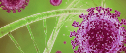 Permalink to: Aggiornamento sulle caratteristiche genetiche di SARS-CoV-2 identificati in Veneto (8° aggiornamento) Aggiornamento sulle caratteristiche genetiche di SARS-CoV-2 identificati in Veneto (8° aggiornamento)