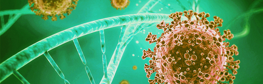 Aggiornamento sulle caratteristiche genetiche di SARS-CoV-2 identificati in Veneto (9° aggiornamento)