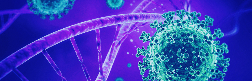 Aggiornamento sulle caratteristiche genetiche di SARS-CoV-2 identificati in Veneto (10° aggiornamento)