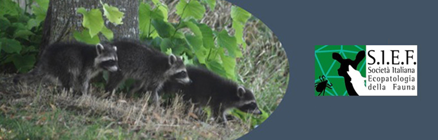 Convegno SIEF «Spillover, epidemie e pandemie: la prevenzione attraverso la sorveglianza sanitaria nella fauna selvatica»
