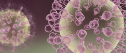 Permalink to: Influenza aviaria: aggiornamenti sulla situazione epidemiologica in Italia ed Europa Influenza aviaria: aggiornamenti sulla situazione epidemiologica in Europa e Italia