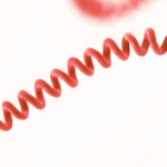 Corso ECM webinar / Leptospirosi: what’s new? [ed. 2022]