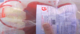 Permalink to: Banca del sangue IZSVe: video tutorial per il ritiro di sacche dallo sportello H24 Banca del sangue IZSVe: video tutorial per il ritiro di sacche dallo sportello H24