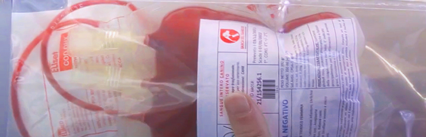 Banca del sangue IZSVe: video tutorial per il ritiro di sacche dallo sportello H24