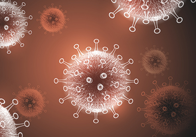 Cornavirus / SARS-CoV2 / COVID-19