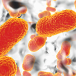 Report EFSA/ECDC: Salmonella e Campylobacter continuano a presentare elevati livelli di resistenza agli antibiotici