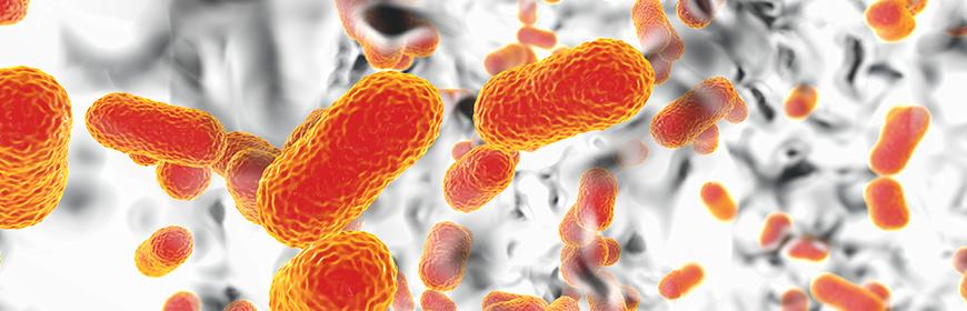 Report EFSA/ECDC: Salmonella e Campylobacter continuano a presentare elevati livelli di resistenza agli antibiotici