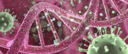 Permalink to: Varianti SARS-CoV-2 in Veneto: virus ricombinante della variante Omicron (BA.1/BA.2) e risultati della sorveglianza ISS sui campioni notificati il 4 aprile 2022 Sorveglianza ISS sulle varianti di SARS-CoV-2: risultati delle analisi sui campioni notificati in Veneto il 4 aprile 2022