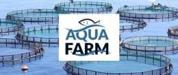 Permalink to: L’IZSVe ad Aquafarm 2022, dal 25 al 27 maggio a Pordenone L’IZSVe ad Aquafarm 2022, dal 25 al 27 maggio a Pordenone