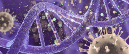 Permalink to: Varianti SARS-CoV-2 in Veneto: virus ricombinante della variante Omicron (BA.1/BA.2) e risultati della sorveglianza ISS sui campioni notificati il 3 maggio 2022 Sorveglianza ISS sulle varianti di SARS-CoV-2: risultati delle analisi sui campioni notificati in Veneto il 3 maggio 2022