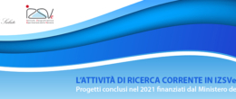 Permalink to: Corso ECM online / L'attività di ricerca corrente in IZSVe. Progetti conclusi nel 2021 finanziati dal Ministero della Salute Corso ECM online / L'attività di ricerca corrente in IZSVe. Progetti conclusi nel 2021 finanziati dal Ministero della Salute