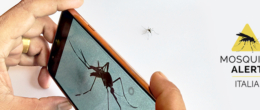 Permalink to: Estate, tornano le zanzare: i cittadini al fianco dei ricercatori nel tracciamento con l’app Mosquito Alert Estate, tornano le zanzare: i cittadini al fianco dei ricercatori nel tracciamento con l’app Mosquito Alert