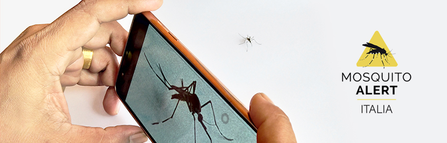 Estate, tornano le zanzare: i cittadini al fianco dei ricercatori nel tracciamento con l’app Mosquito Alert