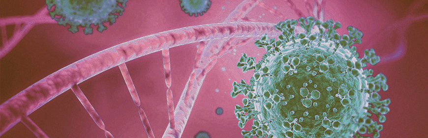Aggiornamento sulle caratteristiche genetiche di SARS-CoV-2 identificati in Veneto (13° aggiornamento)