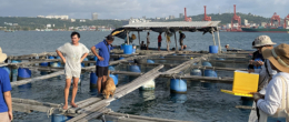 Permalink to: L’IZSVe in missione in Cambogia con un progetto di cooperazione sull’acquacoltura L’IZSVe in missione in Cambogia con un progetto di cooperazione sull’acquacoltura