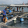 L’IZSVe in missione in Cambogia con un progetto di cooperazione sull’acquacoltura
