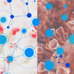 La network analysis per spiegare la dinamica dell’epidemia di influenza aviaria