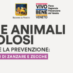 «Attenzione animali pericolosi». Come proteggersi dalle malattie causate da zanzare e zecche [Campagna Regione del Veneto]