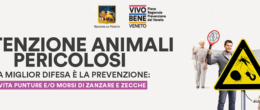 «Attenzione animali pericolosi». Come proteggersi dalle malattie causate da zanzare e zecche (arbovirosi)