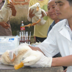 Di cosa si occupa la cooperazione internazionale veterinaria? [Video]