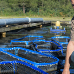 Come è organizzato un allevamento ittico? [Video]