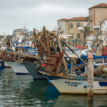 Meeting europeo sull’acquacoltura a Chioggia, 18-20 ottobre 2023