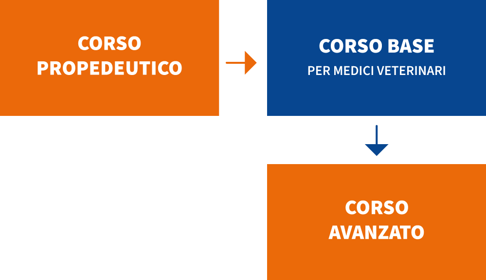 Formazione IAA per medici veterinari