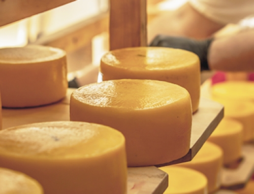 DAIRY+, un progetto Italia-Slovenia per il supporto della filiera lattiero-casearia