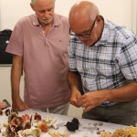 corso micologi IZSVe 2023/2023