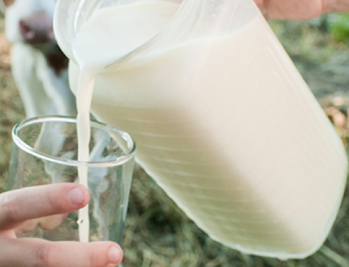 Che rischi per la salute comportano latte crudo e formaggi derivati? [Video]