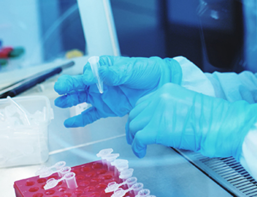 Nasce l’associazione internazionale European Virus Archive (EVA-AISBL). L’IZSVe tra i partner