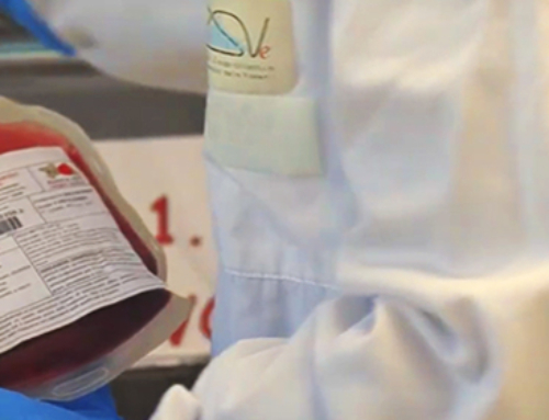 La Banca del sangue IZSVe si rinnova: aggiornamenti normativi e produzione di emocomponenti