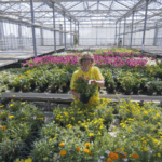 Ecoflora Garden - Calto (Rovigo)