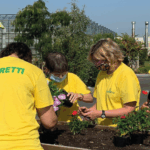 Ecoflora Garden - Calto (Rovigo)