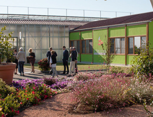 Progetto RASO, open day presso la fattoria sociale “Ecoflora”. Calto (Rovigo), 24 settembre 2025