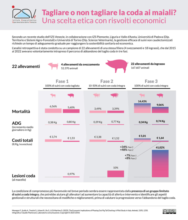 Tagliare o non tagliare la coda ai maiali? Una scelta etica con risvolti economici | Infografica