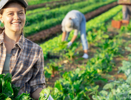 Convegno “Agricoltura sociale: strumento innovativo per un sistema socio-sanitario equo e solidale”. Padova, 4 dicembre 2025