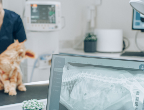 Corso ECM webinar / Contaminazione microbica nelle strutture cliniche veterinarie